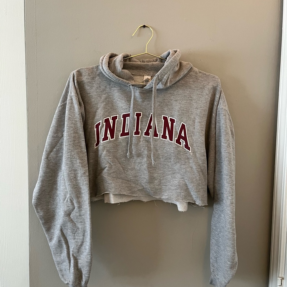 Indiana Gray Cropped Hoodie